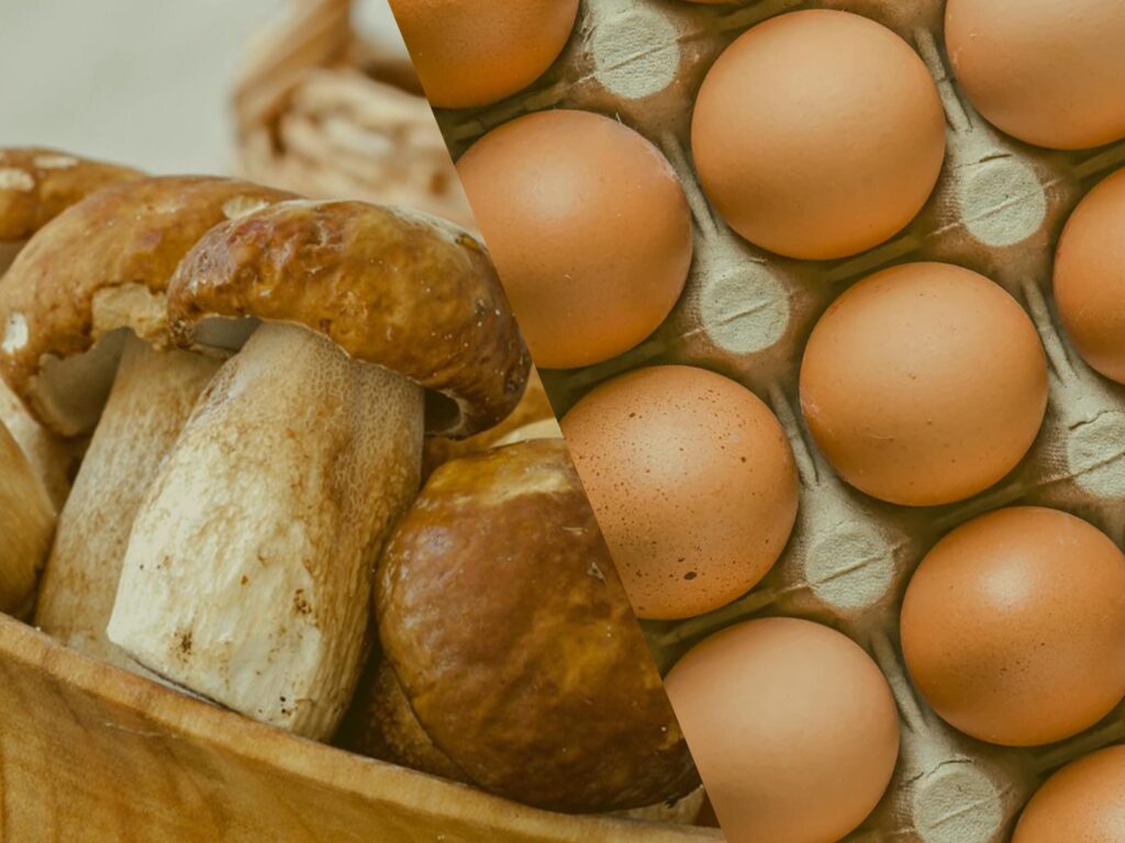 omelette aux champignons