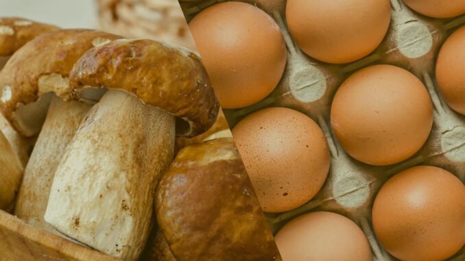 omelette aux champignons