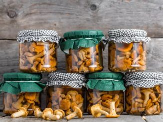 conserve de girolles