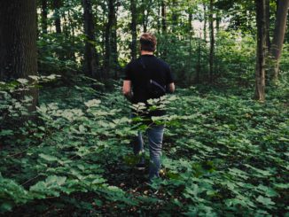 un homme cherchant des champignons en ce moment en forêt