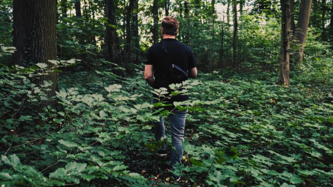 un homme cherchant des champignons en ce moment en forêt