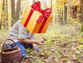 cadeau pour la cueillette des champignons