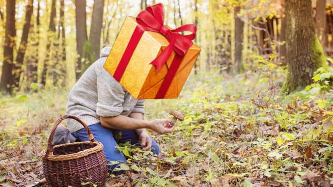 cadeau pour la cueillette des champignons