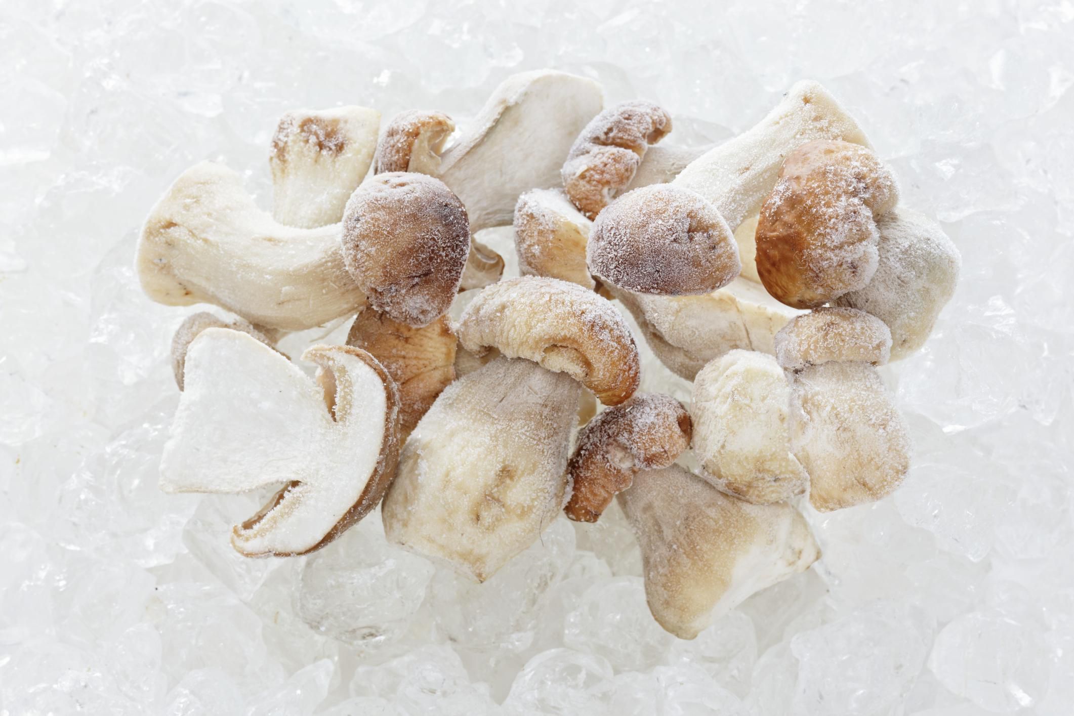 Comment Congeler Des Trompettes De La Mort Comment congeler ses champignons ? - Chasseurs de champignons