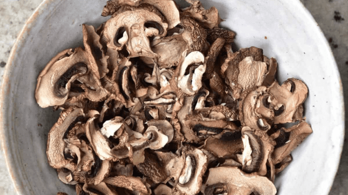 champignons séchés