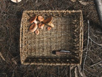 panier à champignons