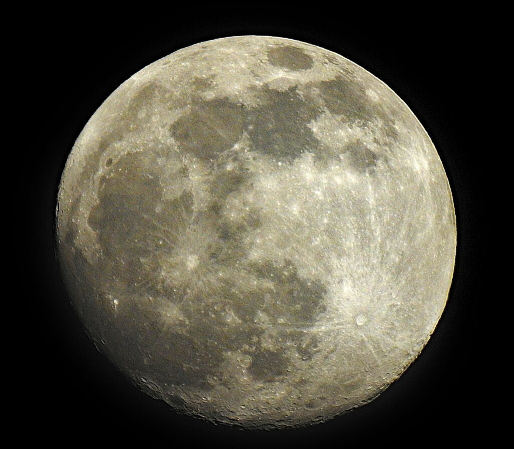 lune et champignons