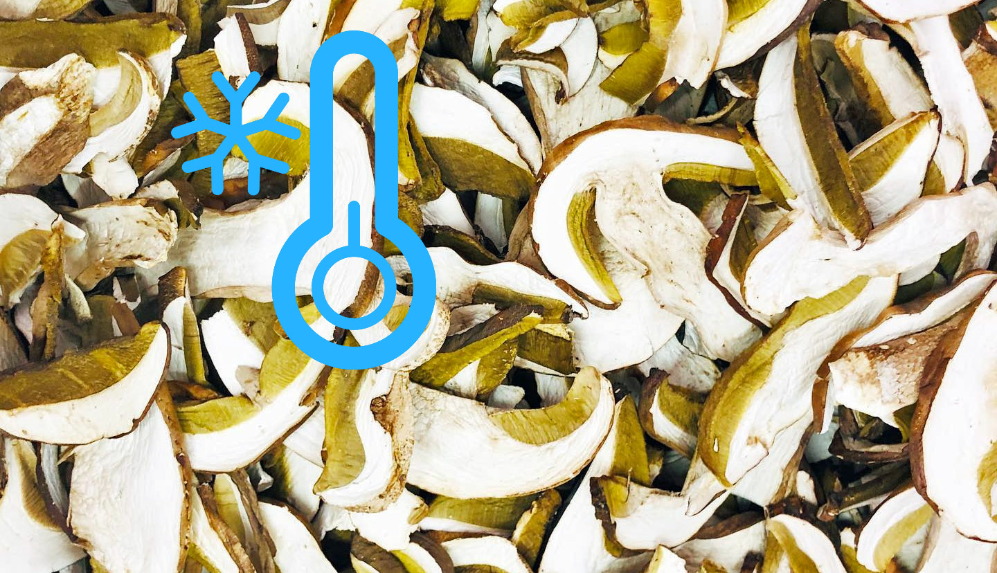 Comment Nettoyer Des Cepes Et Les Conserver Comment congeler des cèpes ? - Chasseurs de champignons