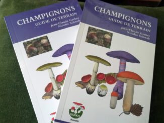 Livre guide sur les champignons