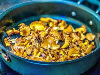 cuisson des girolles et des chanterelles