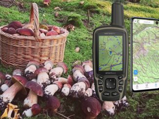 gps et champignons