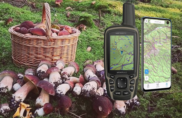 gps et champignons