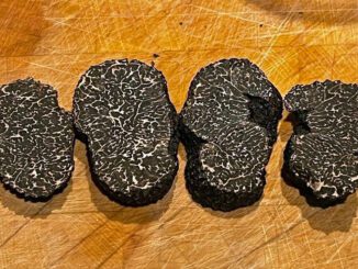 Une truffe noire, détaillée en tranches épaisses