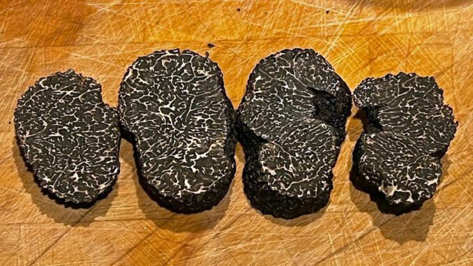 Une truffe noire, détaillée en tranches épaisses