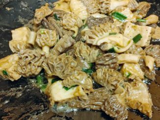 Des morilles en pleine cuisson