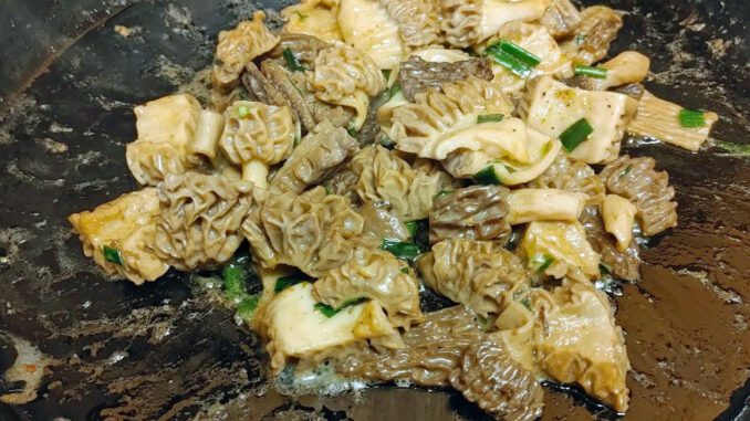 Des morilles en pleine cuisson