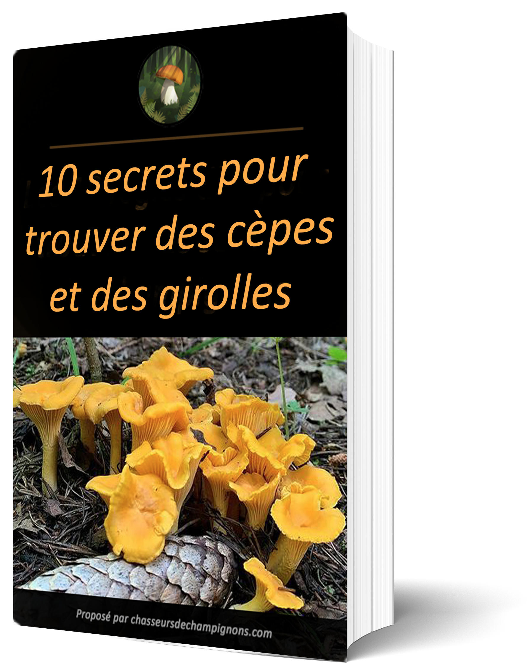 ebook-10 secrets pour trouver des cèpes et des girolles