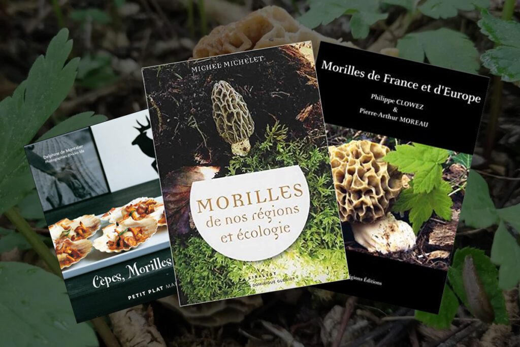 Livre sur les morilles