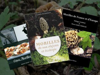 Livre sur les morilles