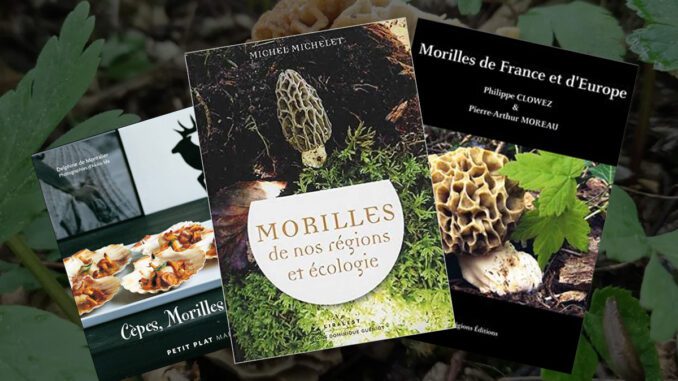 Livre sur les morilles