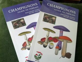 Guide des champignons par Nicolas Schwab