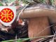 Coins à champignons dans l'Hérault (34)