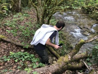 Jordan Monnot, fondateur de chasseursdechampignons.com, en train de chercher des champignons, au bord d'un ruisseau