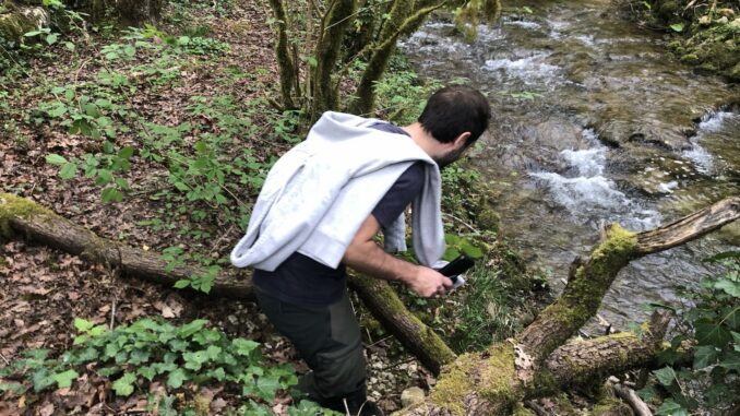 Jordan Monnot, fondateur de chasseursdechampignons.com, en train de chercher des champignons, au bord d'un ruisseau