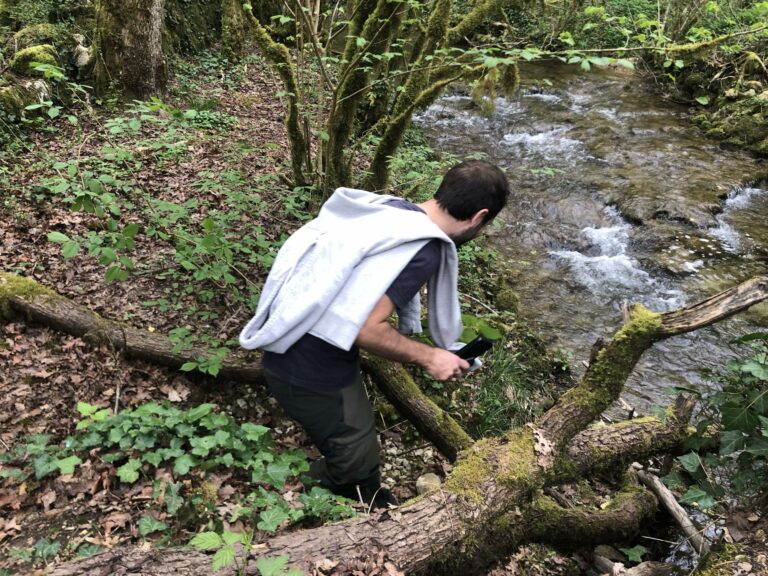 Comment réhydrater des morilles ? Chasseurs de champignons