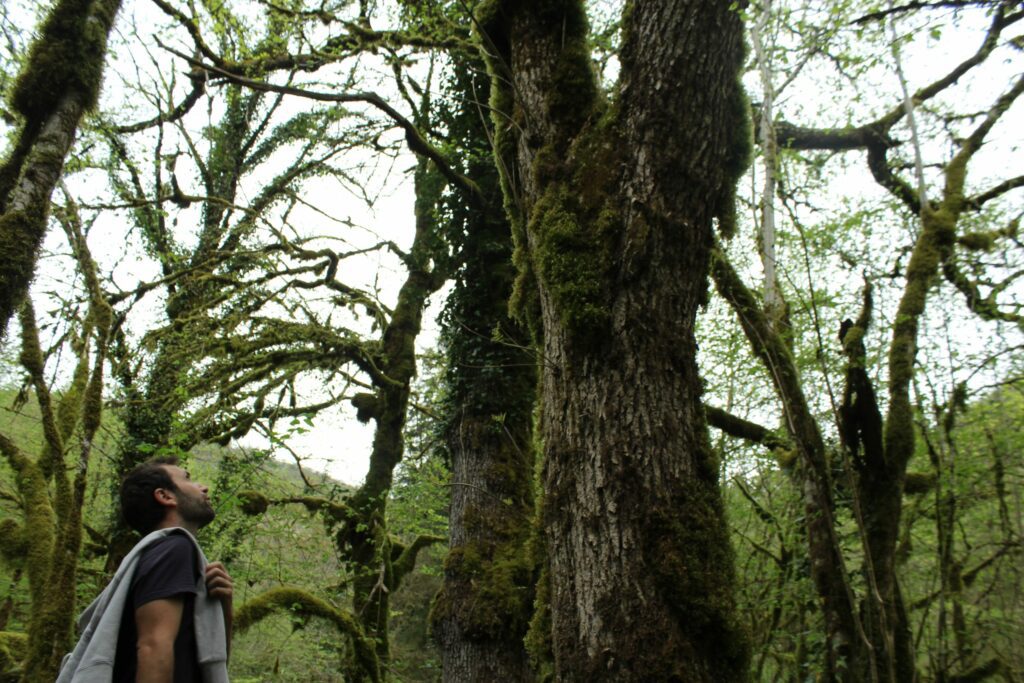 Jordan Monnot, fondateur de chasseursdechampignons.com, en train d'identifier un arbre