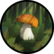 Cacciatori di funghi logo